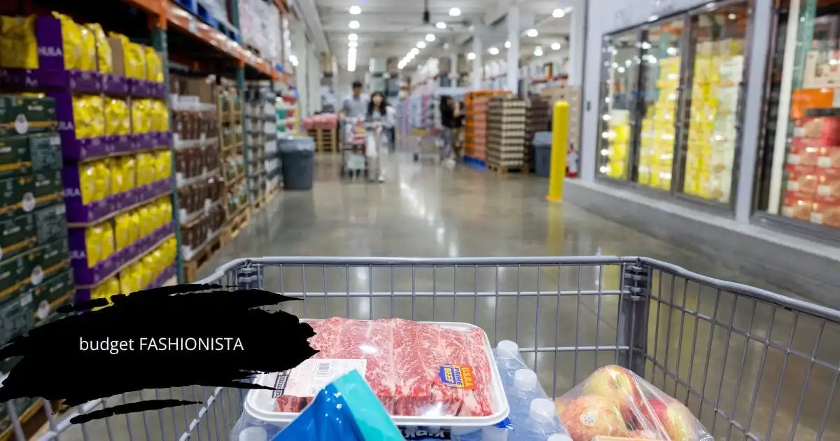 View from behind the shopping cart in a warehouse store like Costco.