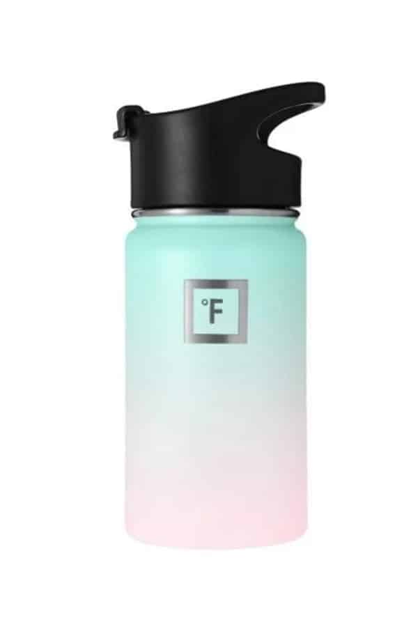 Stainless steel water bottle from Iron Flask