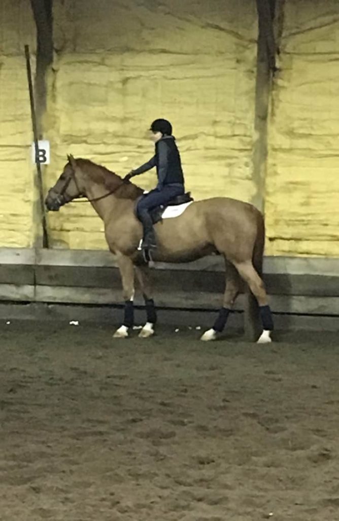 Cold-Weather Gear to Put on Your Holiday Wish List 2 Horse riding