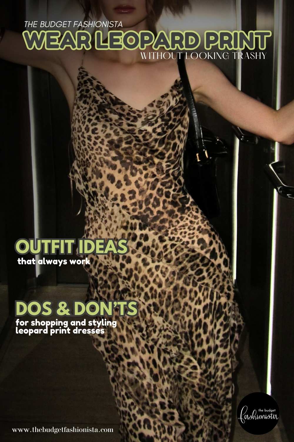 Leopard print dress styling tips cover image