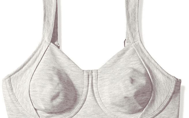 Natori cotton bra
