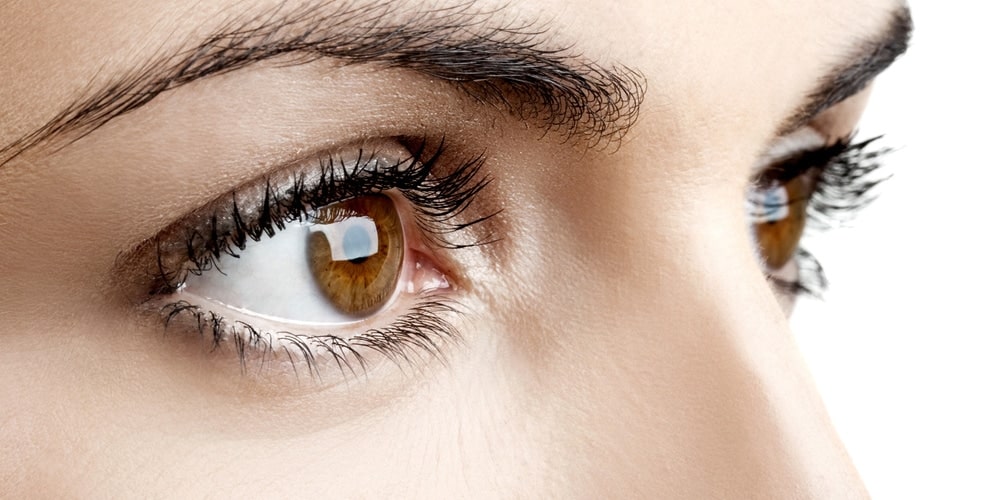 Close up of woman's eyebrows
