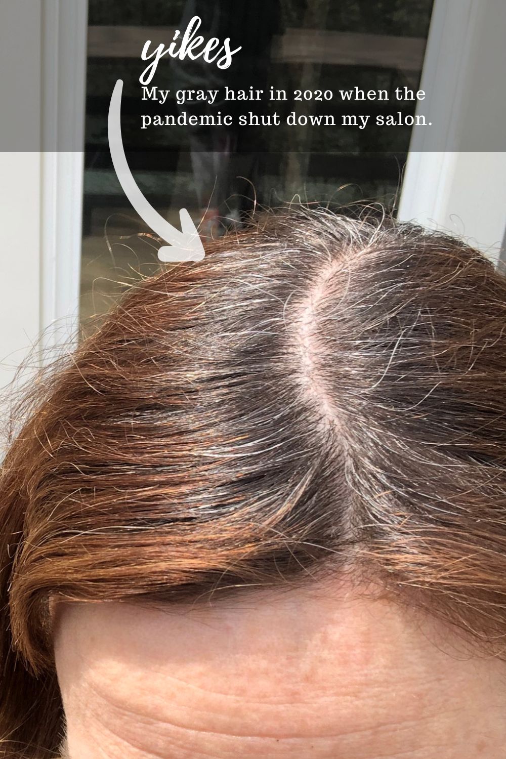 Close-up of women's hair with gray roots.