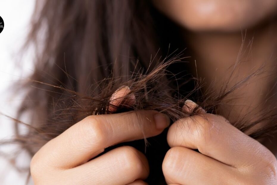 Person holding split ends of long dark hair